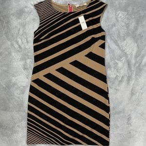NWT LOFT dress